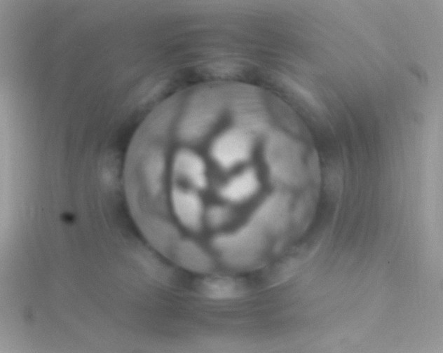 X0000115580181200911241520