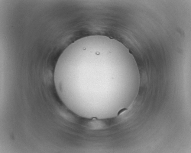 X0000115580183200911241520