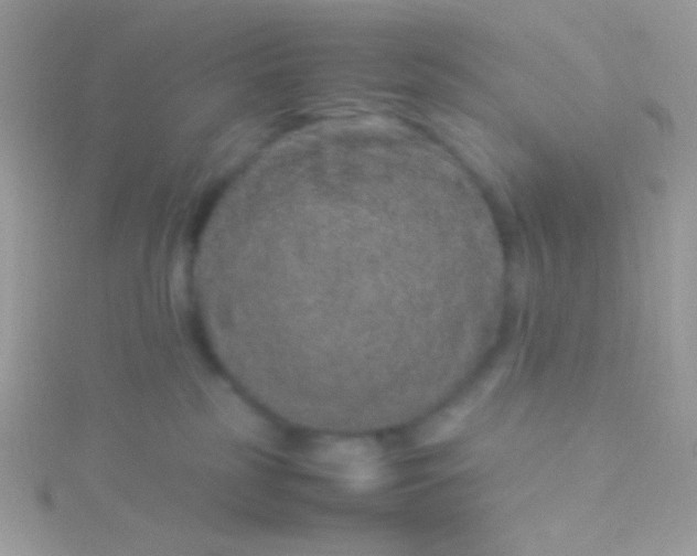 X0000115580185200911241520