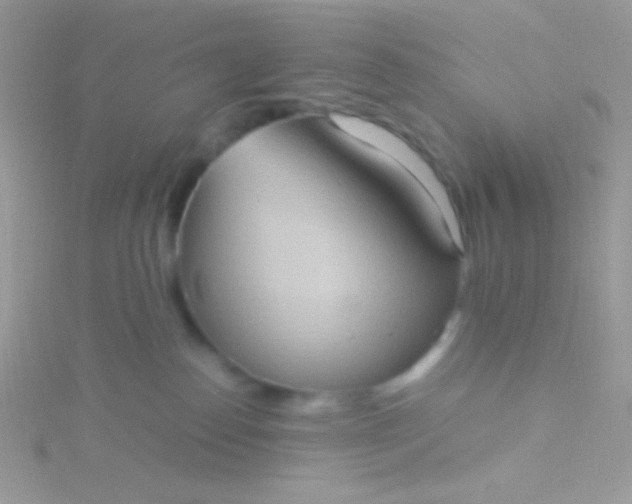 X0000115580186200911241520