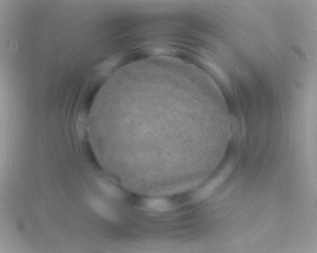 X0000115580189200911241520