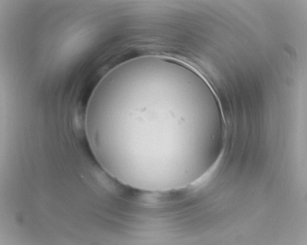 X0000115580190200911241520