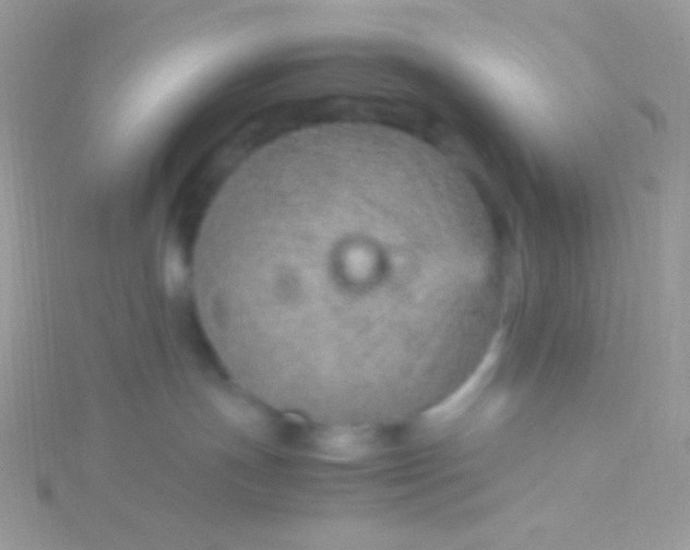 X0000115580191200911241520