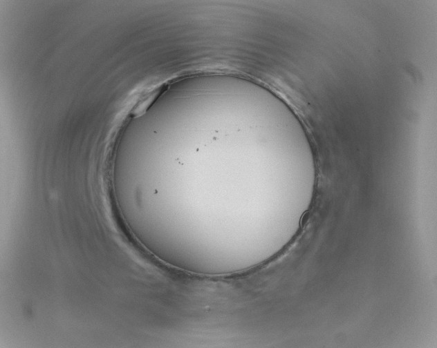 X0000115580193200911241520