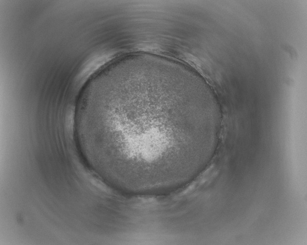 X0000115580194200911241520