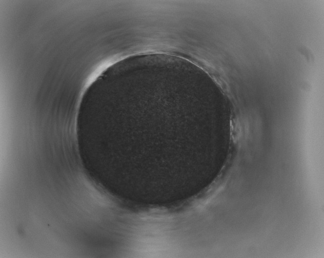 X0000115580196200911241520