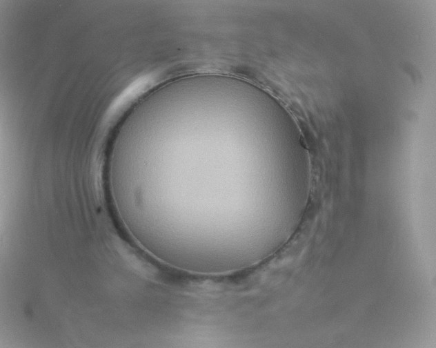 X0000115580197200911241520