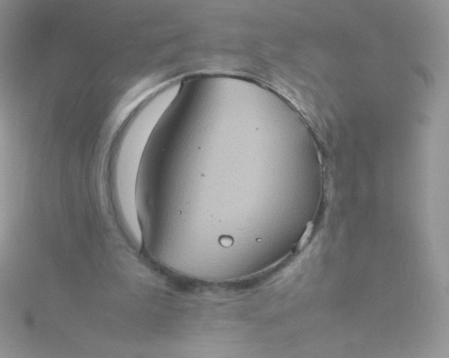 X0000115580199200911241520