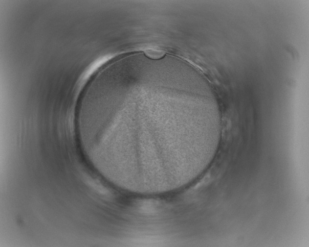 X0000115580200200911241520