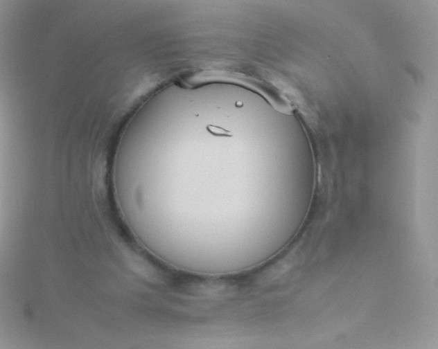 X0000115580201200911241520