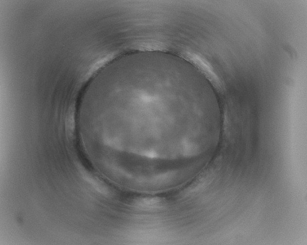 X0000115580202200911241520