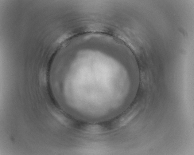 X0000115580203200911241520