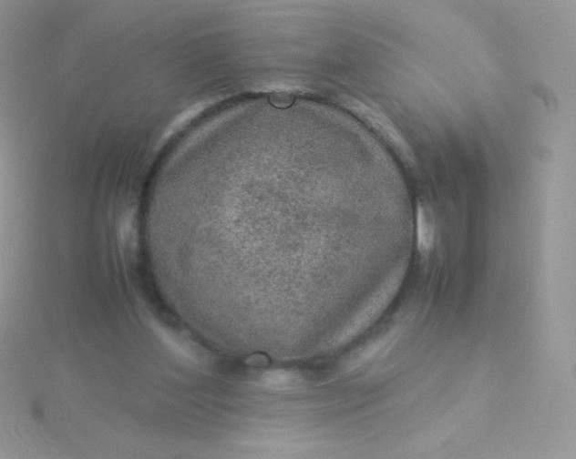 X0000115580204200911241520