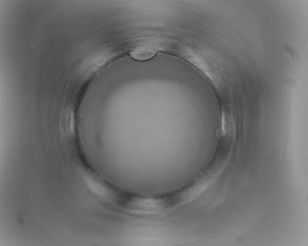 X0000115580205200911241519