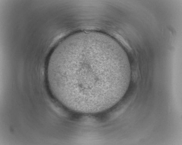 X0000115580207200911241519