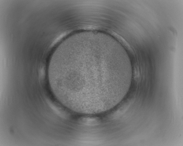 X0000115580208200911241519