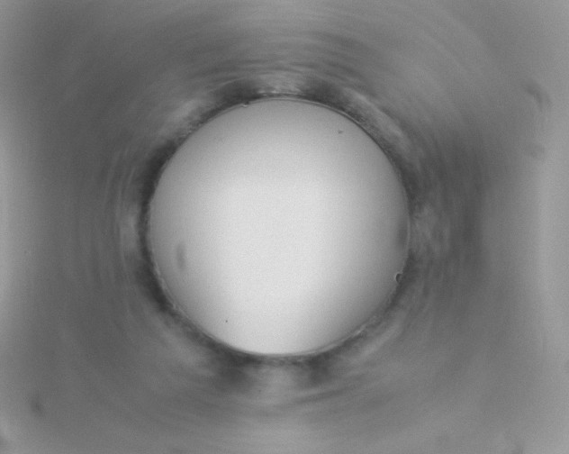 X0000115580209200911241519