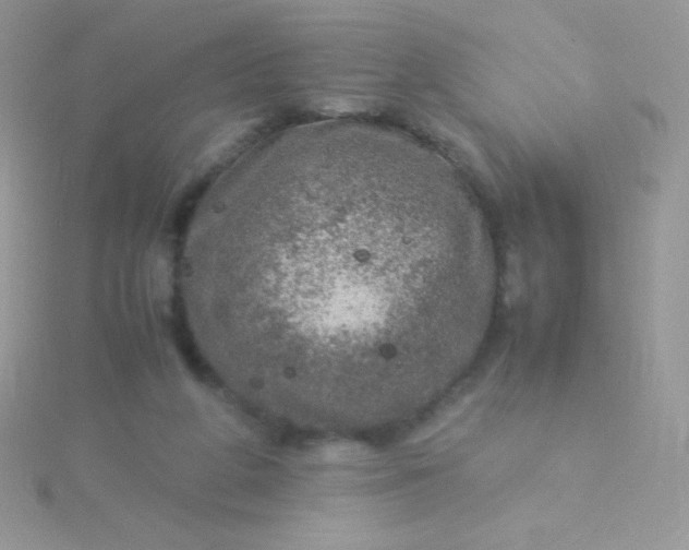 X0000115580210200911241519