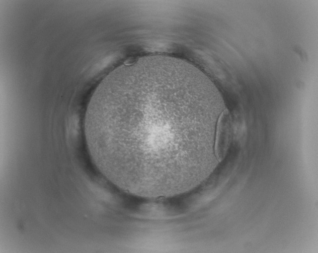 X0000115580211200911241519