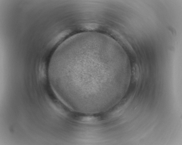 X0000115580212200911241519