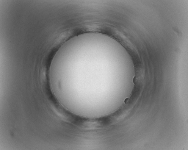 X0000115580213200911241519