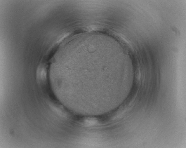 X0000115580214200911241519