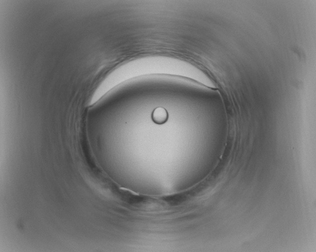 X0000115580215200911241519