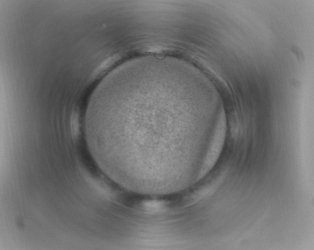 X0000115580216200911241519