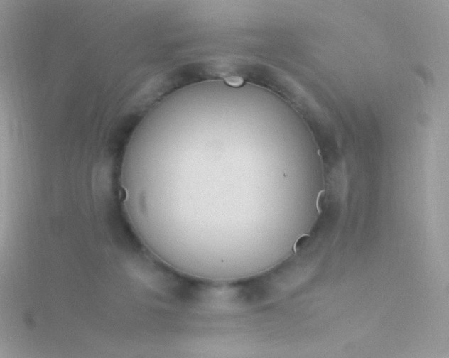 X0000115580217200911241519