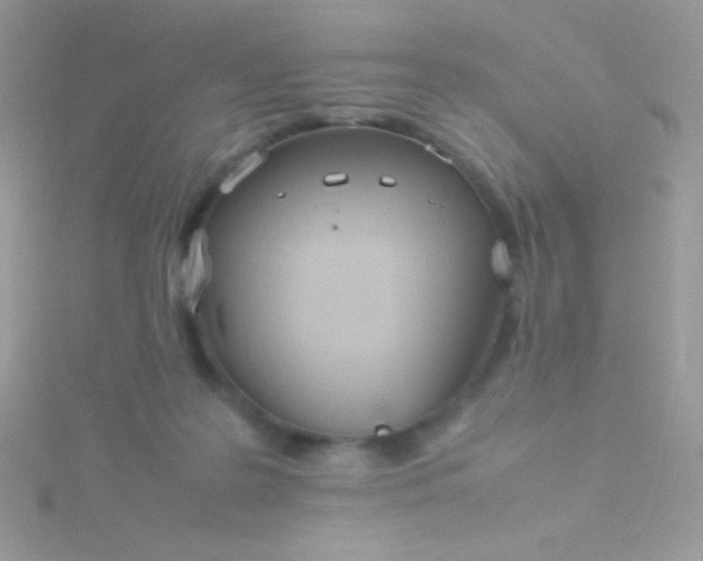 X0000115580219200911241519