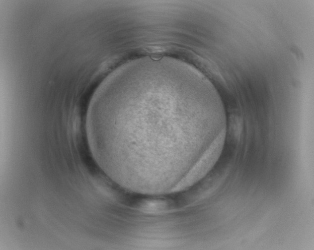 X0000115580220200911241519