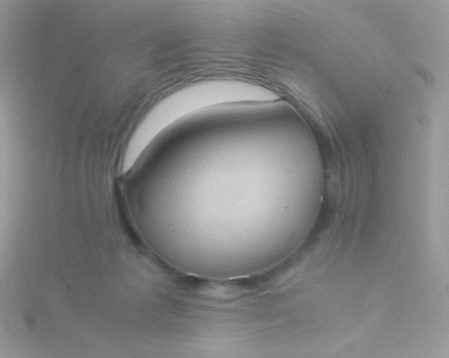 X0000115580221200911241519