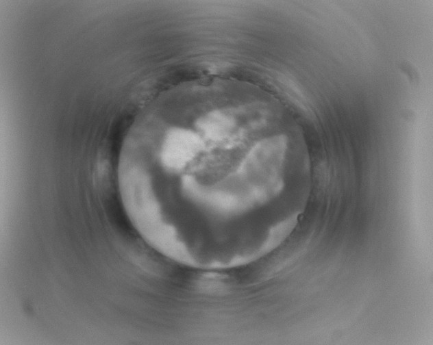 X0000115580222200911241519