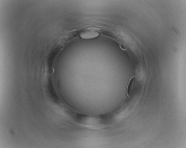 X0000115580223200911241519