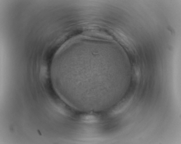 X0000115580224200911241519