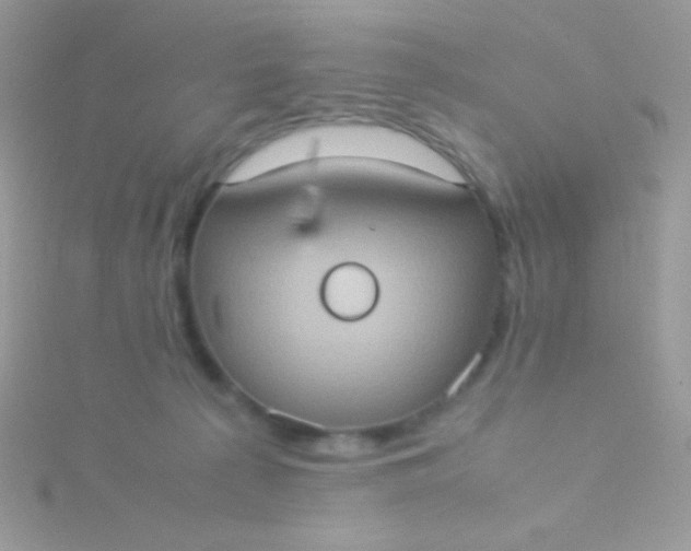 X0000115580225200911241519