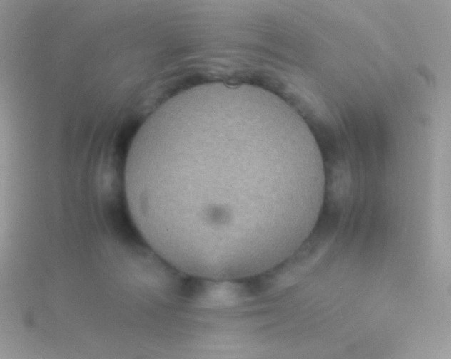 X0000115580226200911241519