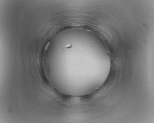 X0000115580227200911241519