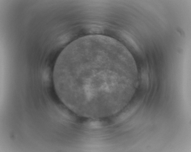 X0000115580228200911241519