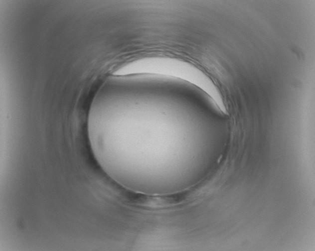 X0000115580229200911241519