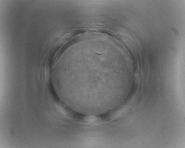 X0000115580231200911241519