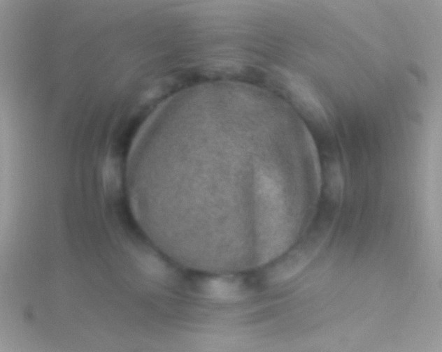 X0000115580232200911241519