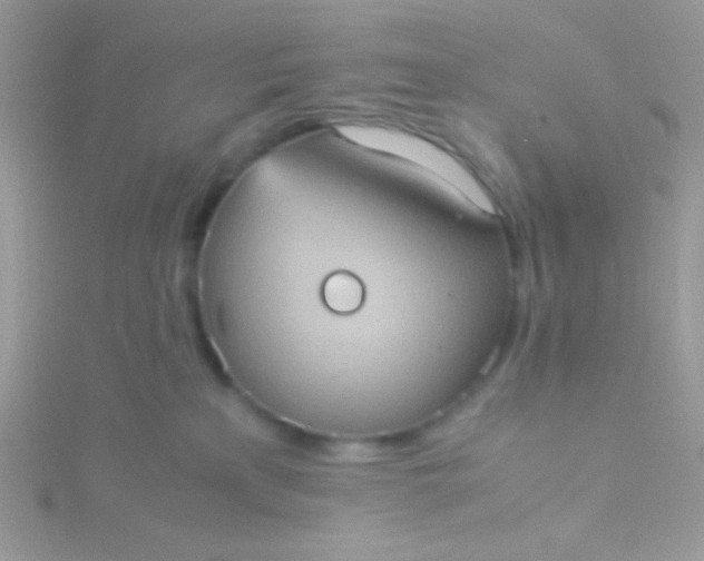 X0000115580233200911241519