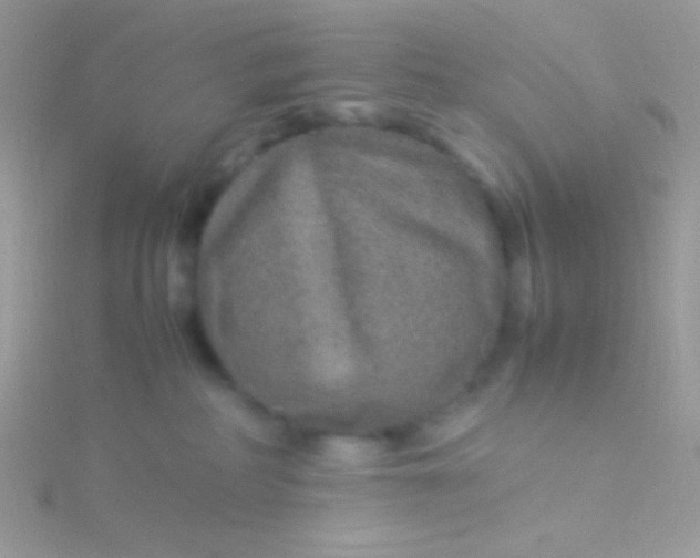 X0000115580234200911241519