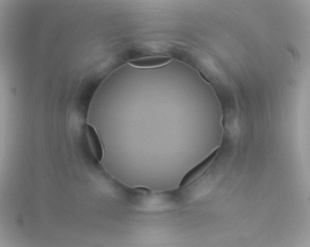 X0000115580235200911241519