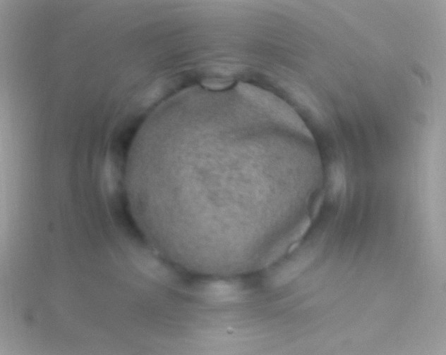 X0000115580236200911241519