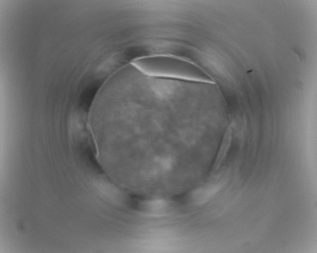 X0000115580237200911241519