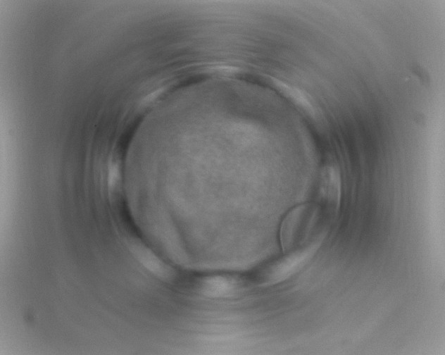 X0000115580238200911241519