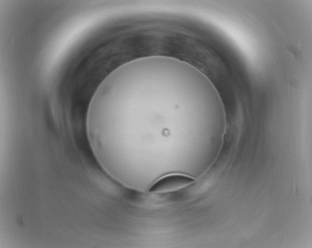 X0000115580239200911241519