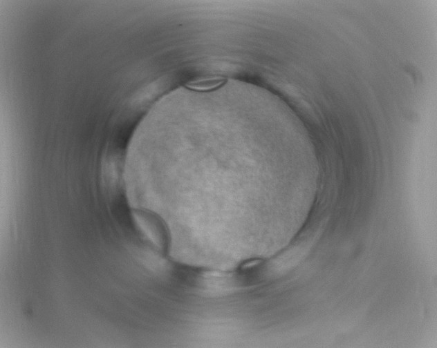 X0000115580240200911241519